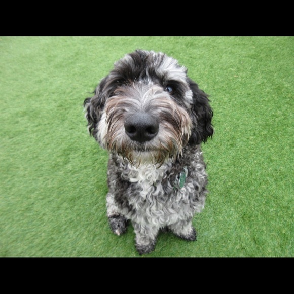 Simple, classic, random with a dash of sparkle - Picture 3 of 4